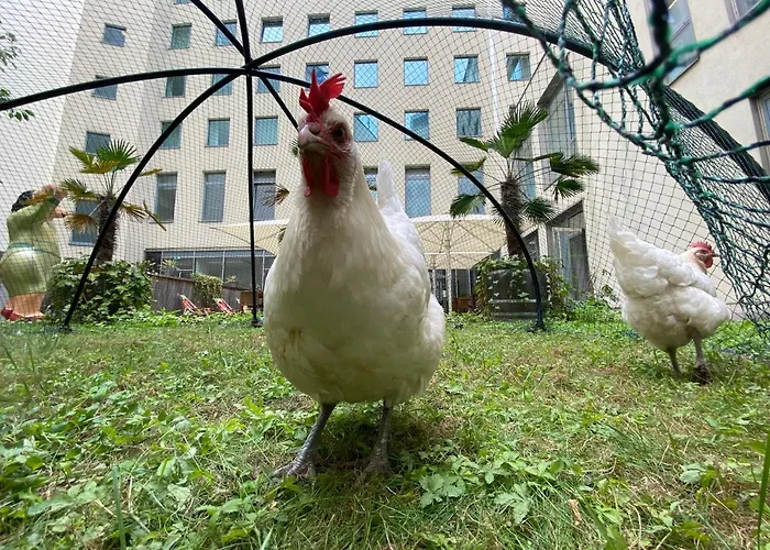 Lindner Ku'damm, Part Of Jdv By Hyatt Berlin