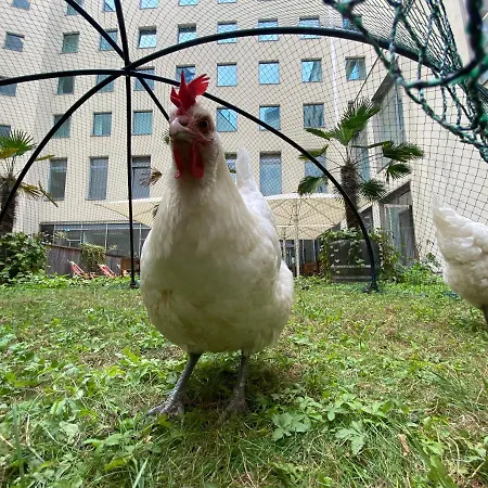 Lindner Ku'damm, Part Of Jdv By Hyatt ברלין